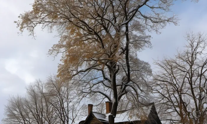 Křížová cesta u Jistebnice – zima