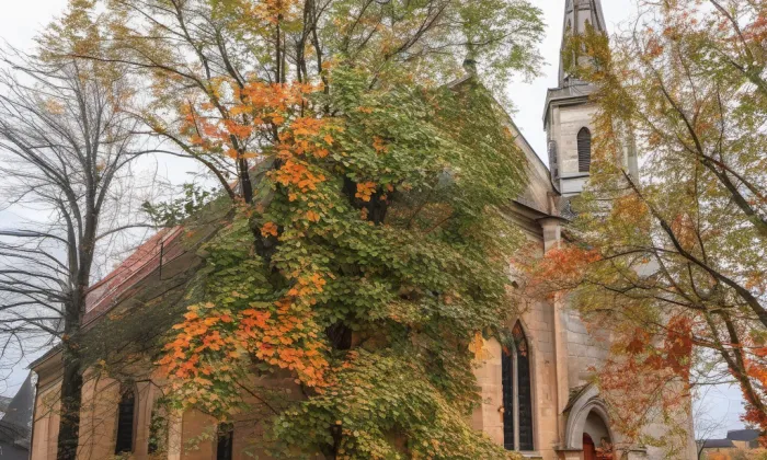 Kostel svatého Petra – podzim