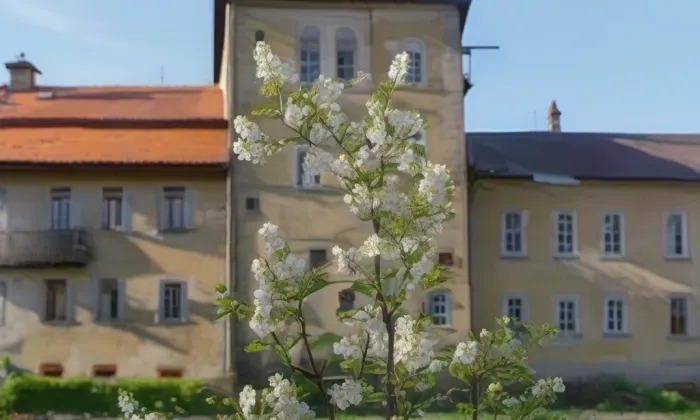 Městské opevnění (Úštěk) – jaro