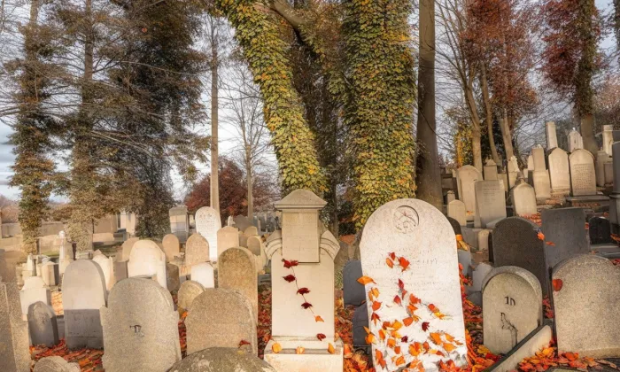 Nový židovský hřbitov v Hostouni – podzim