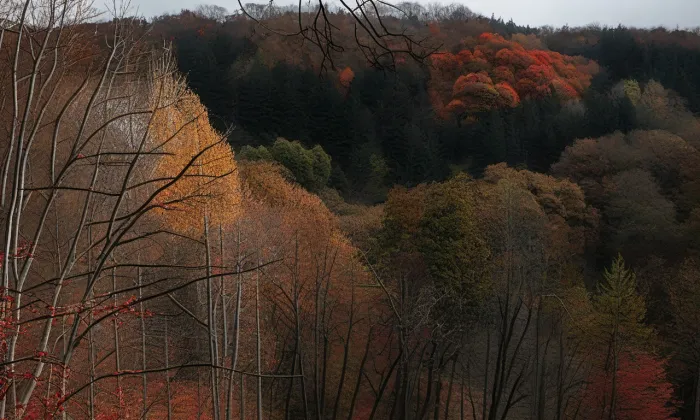 Nové Město nad Metují (hradiště) – podzim