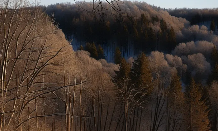 Nové Město nad Metují (hradiště) – zima