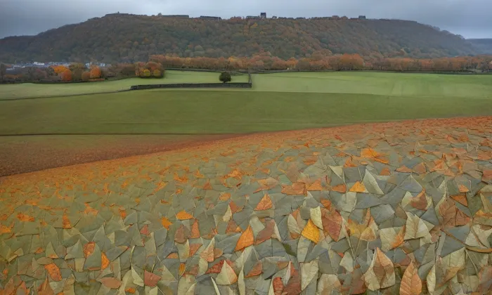 Přerovská hůra – podzim