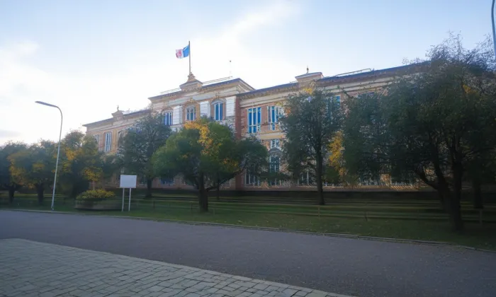 Palác škol – iluminace