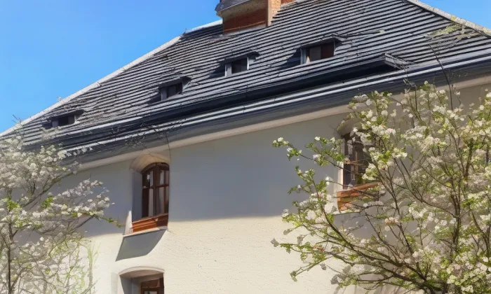 stará škola v Dřevčicích – jaro