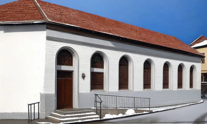 synagoga ve Veselí nad Moravou – zima