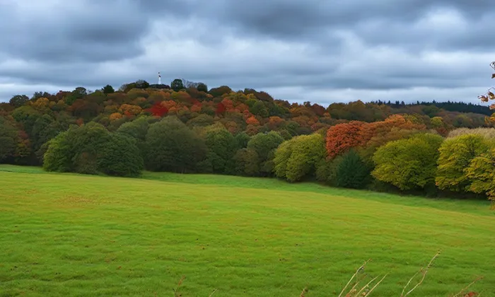 Tasnovice (hradiště) – podzim