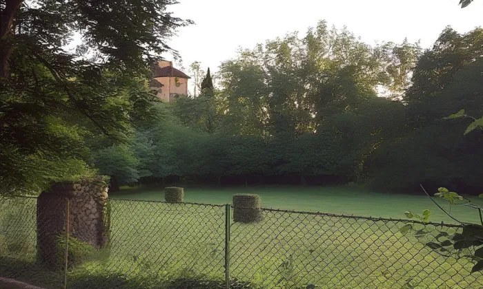 tvrziště Dvorce – léto