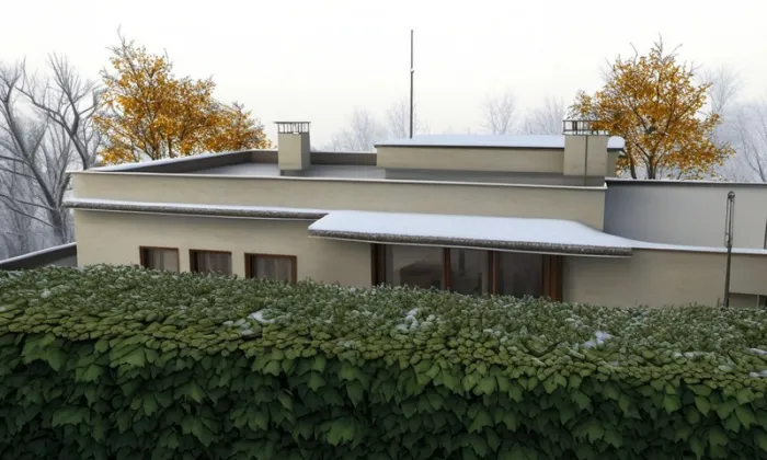 Vila Vladimíra Čelakovského – zima