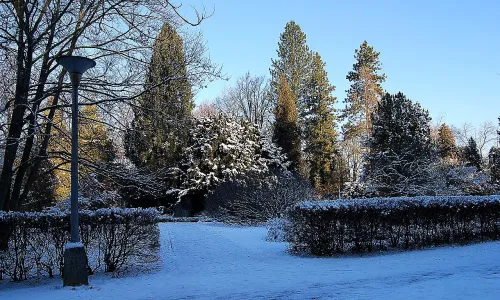 Arboretum (Václavské Předměstí)
