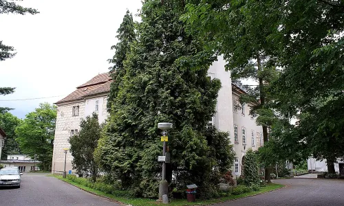 Bukovany