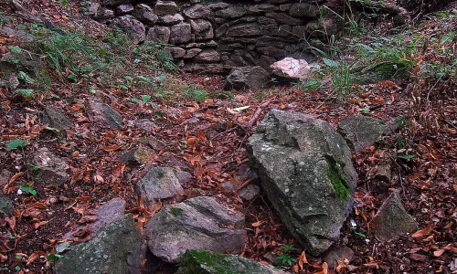 Bukovina