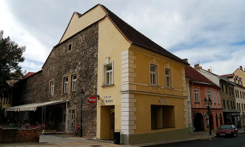 Chelčického 11