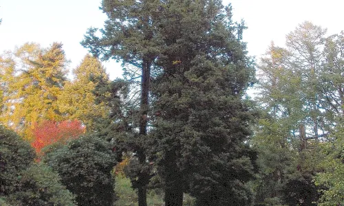 Chářovský park