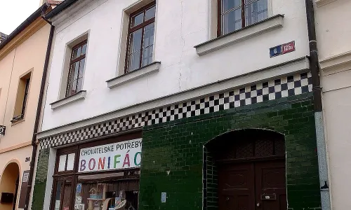 Dominikánská 6
