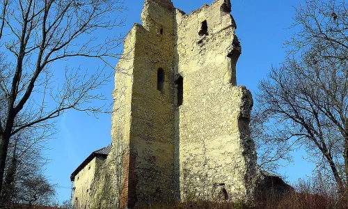 Dražice