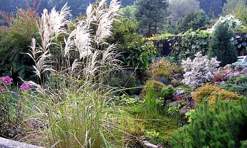 Arboretum Borotín