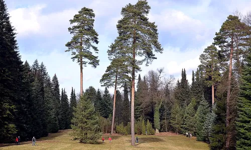 Arboretum Řícmanice