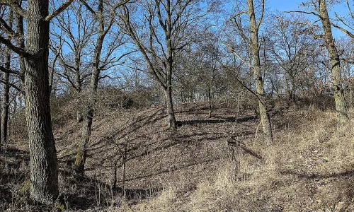 Frumštejn