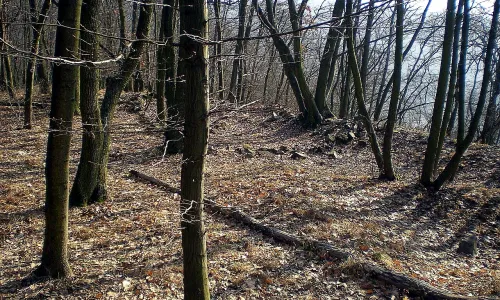 Horákov