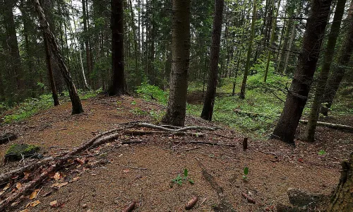 Hrádek u Kněževsi