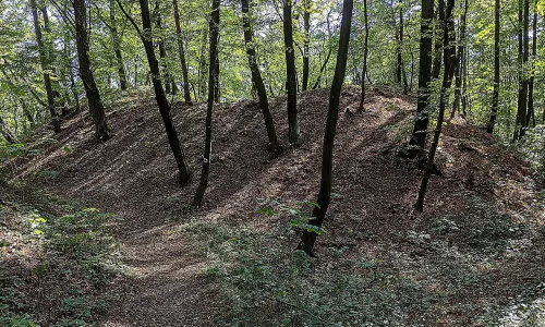 Jevín
