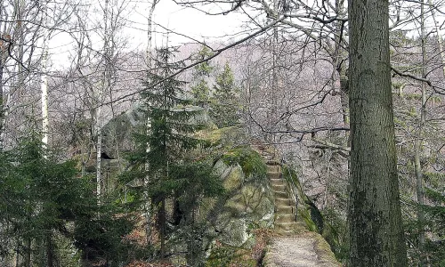 Jezdec