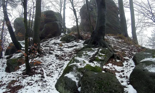 Klenov