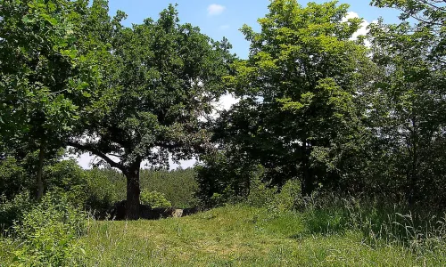 Komberk