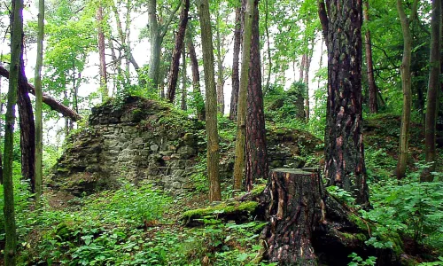 Křikava
