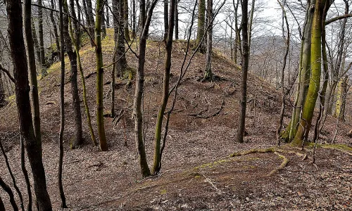 Leština
