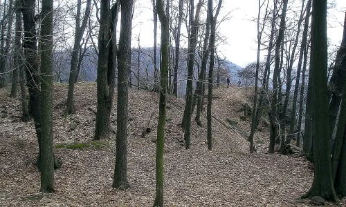Najštejn