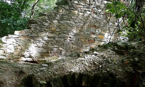 Neulust