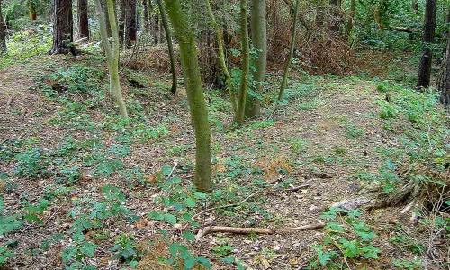 Ostrolovský Újezd
