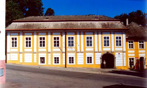 Puklice