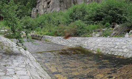 Sokolčí