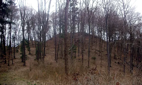 Stagnov