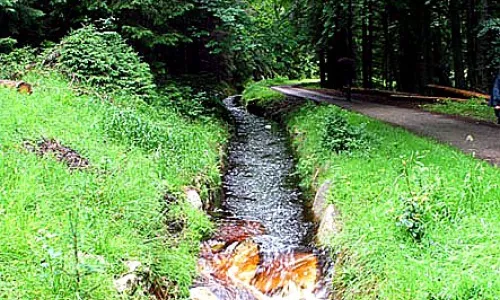 Schwarzenberský plavební kanál