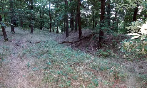 Polní opevnění před Novým hradem