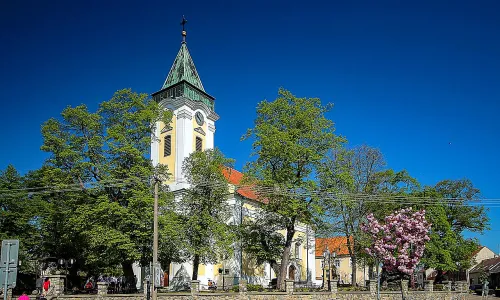 Kostel svatého Václava v Dolních Bojanovicích