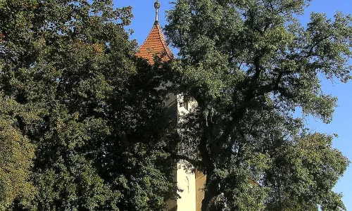 Kostel svatých Petra a Pavla (Struhy)