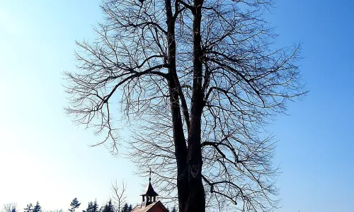 kaple Nejsvětější Trojice (Doubice)