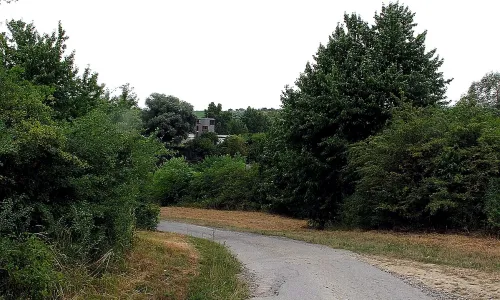 Mušlov