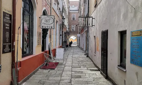 Plachého