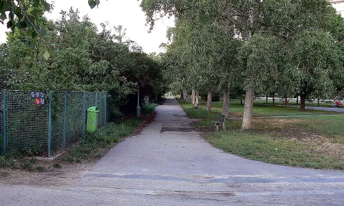 Dlouhá cesta