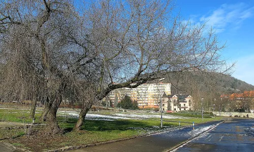 Klášter magdalenitek (Most)