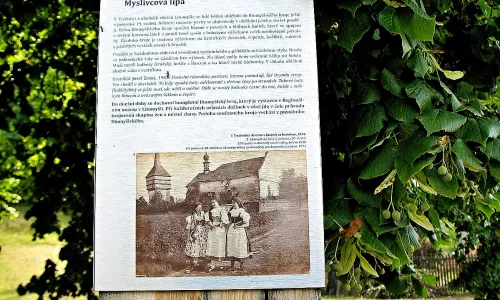 Trstenická stezka