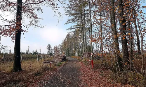 Zlodějská stezka