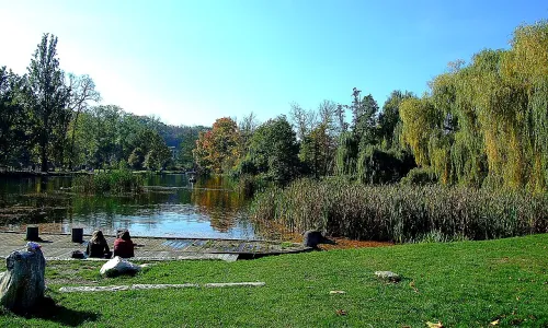 Královská obora