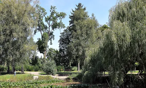 Městský park